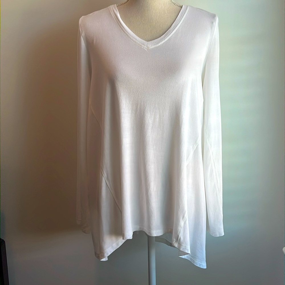 Soft Surroundings Sublime long sleeve tee